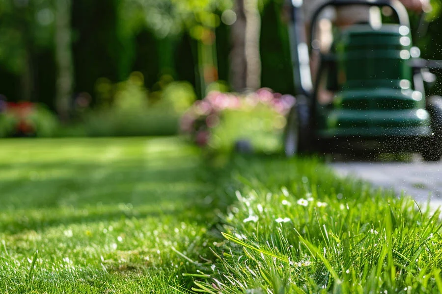 eco electric lawn mower